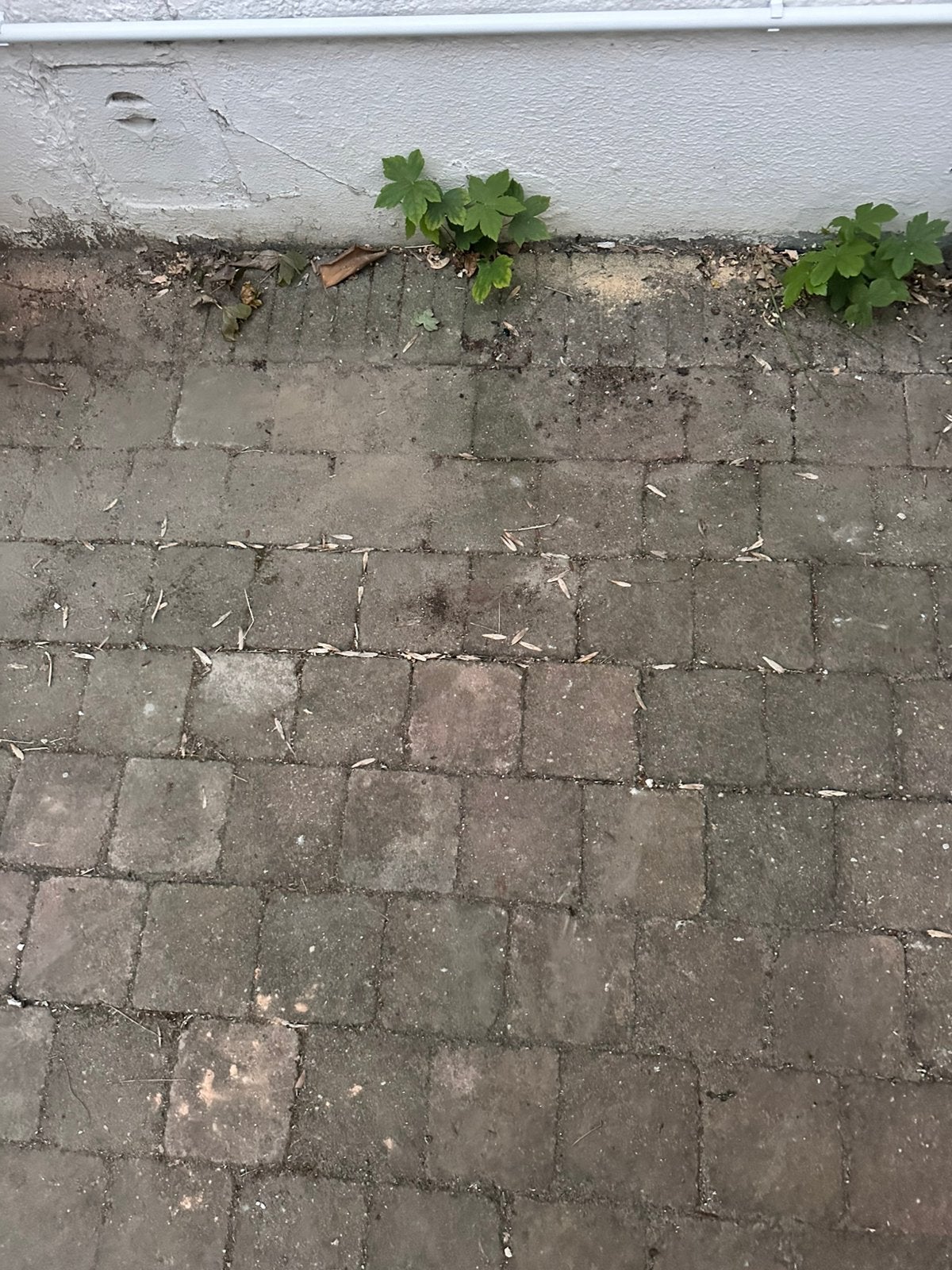 Gratis 30 m2, Tuin en Terras, Ophalen, Zo goed als nieuw, 10 m² of meer, Beton