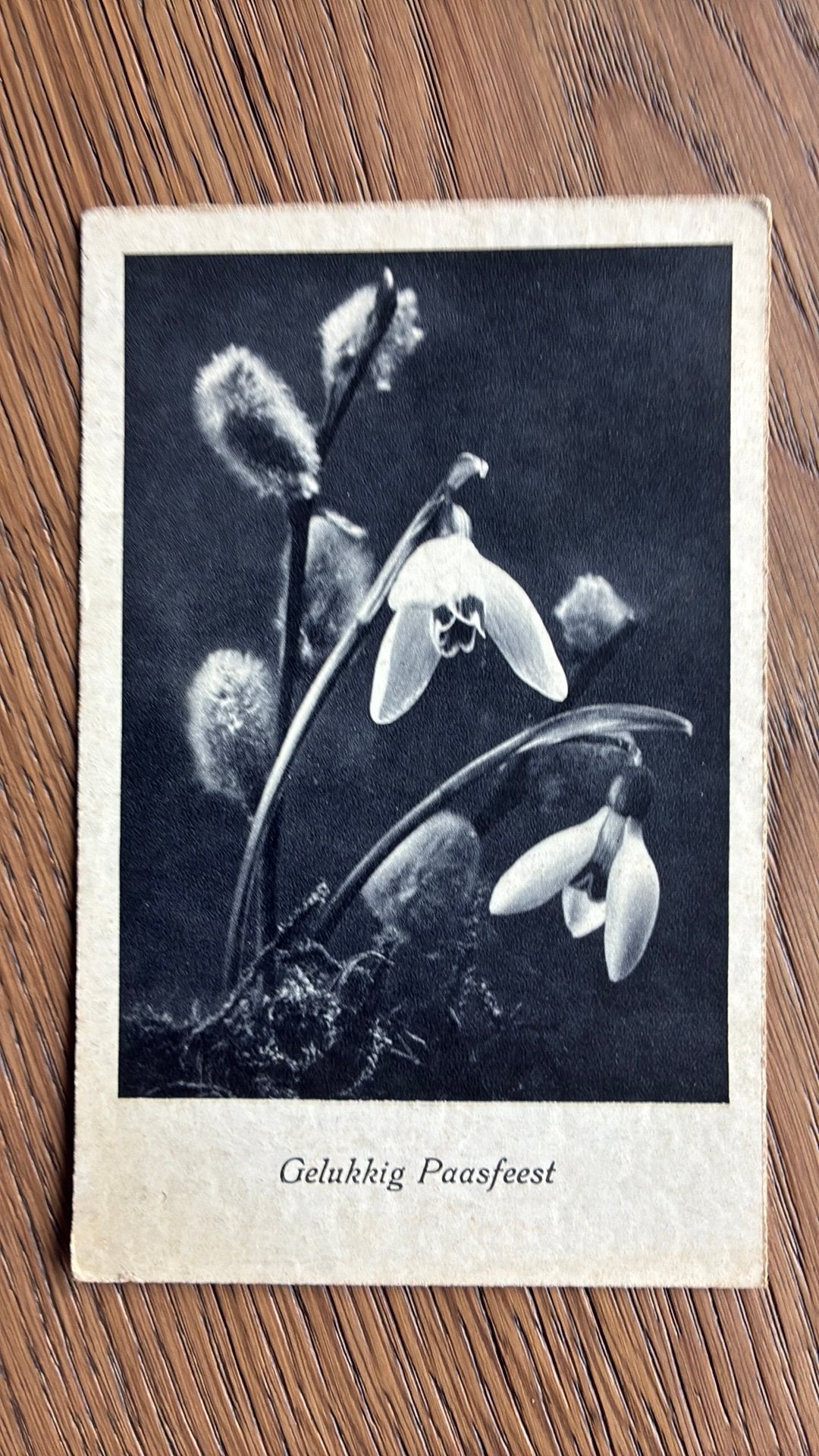 Gelukkig Paasfeest. Sneeuwklokje en katje. 1940, Ophalen of Verzenden