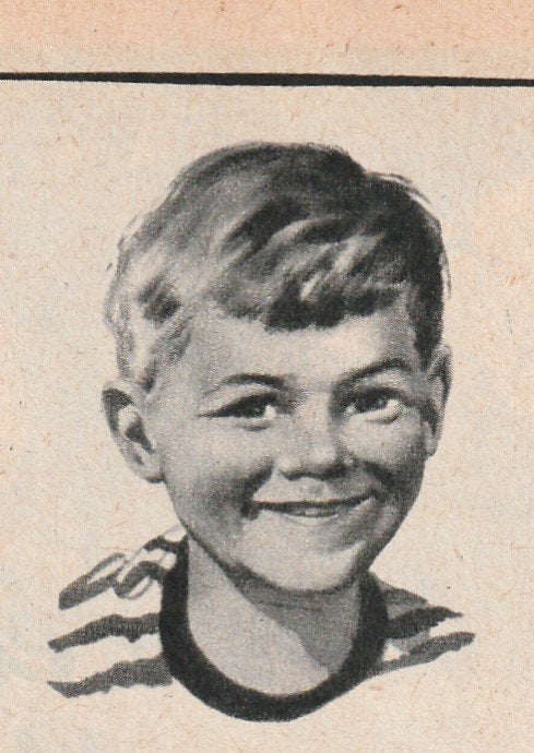 retro reclame 1954 Verkade beschuit jongetje wafels, Verzenden, Overige typen