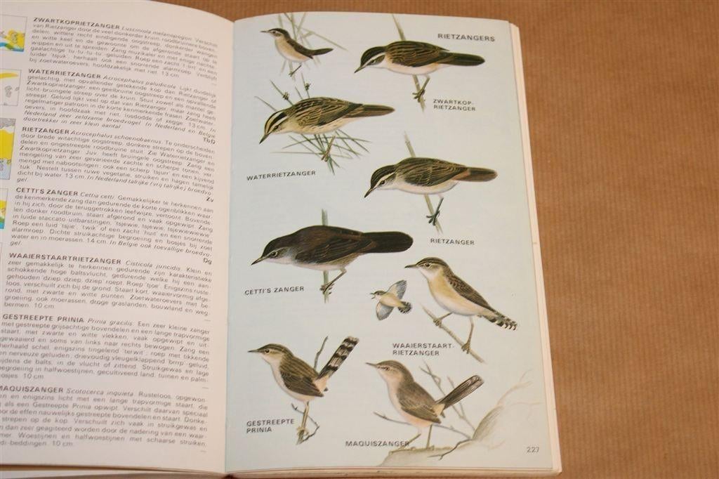 Elseviers Gids Van De Europese Vogels — Heizel [1982], Ophalen of Verzenden, Gelezen, Vogels