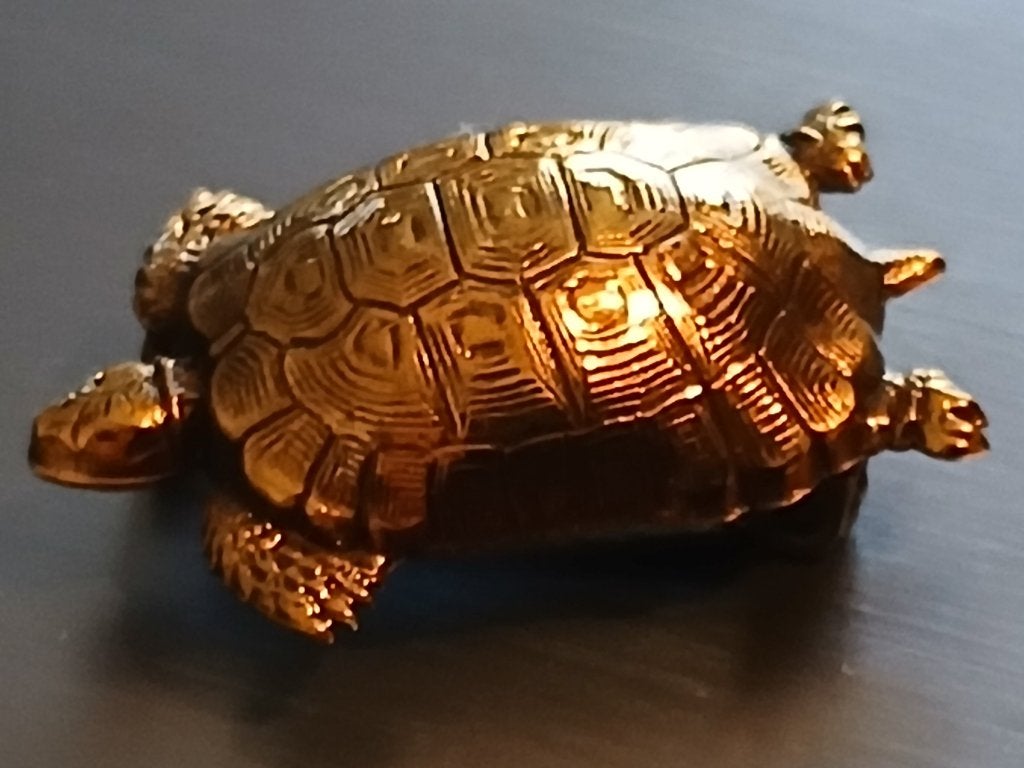 Klassieke Vintage goudkleurige schildpadbroche, Ophalen, Gebruikt, Goud, Overige materialen