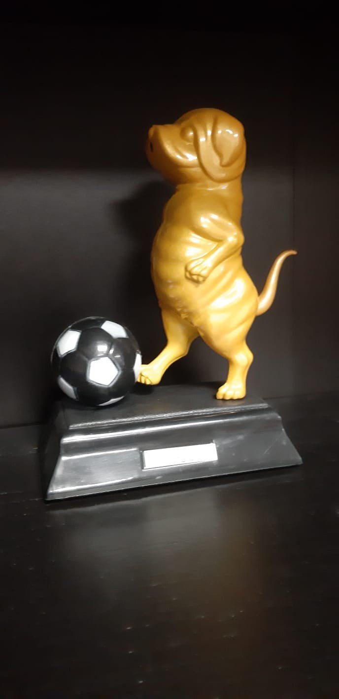 Hond met voetbal trofee - Gouden beeldje, Gebruikt, Overige stijlen, Kunststof, Ophalen of Verzenden