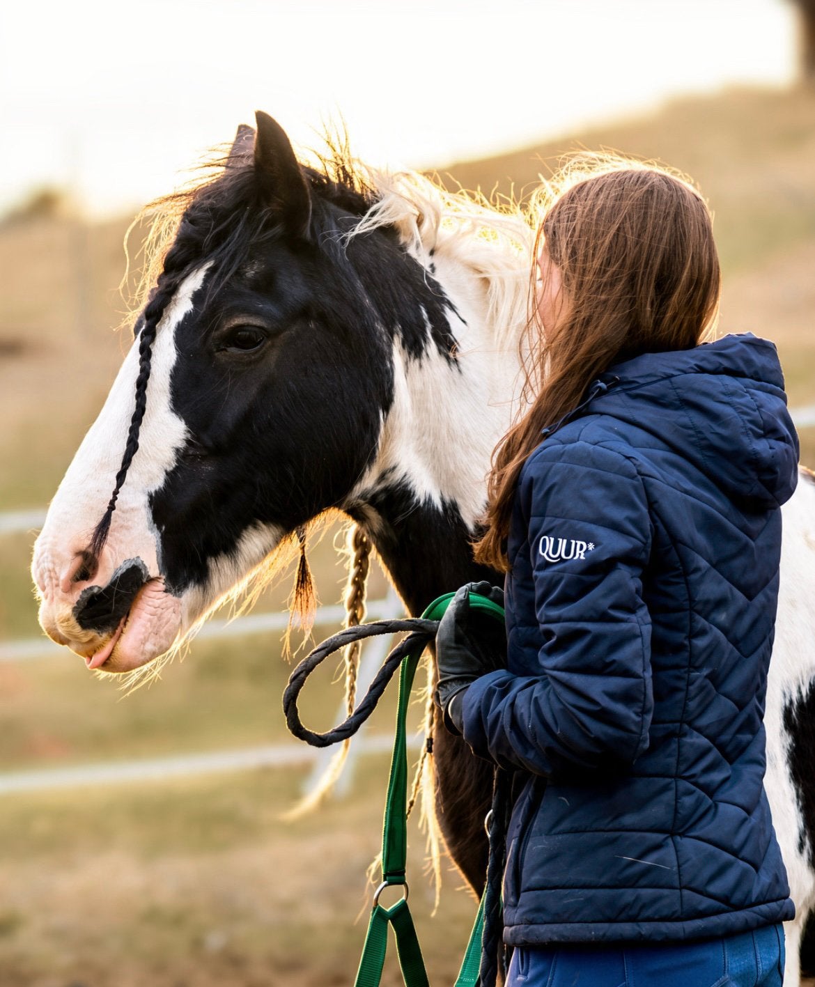 Bijbaan paardensector gezocht!, Rijbewijs B, Tot en met 24 uur, Week OV