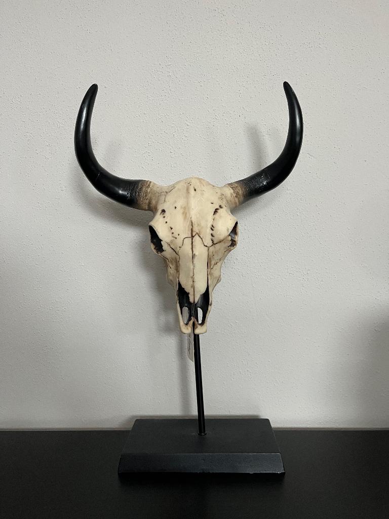 Light & Living ornament op standaard buffel skull schedel, Ophalen of Verzenden, Nieuw