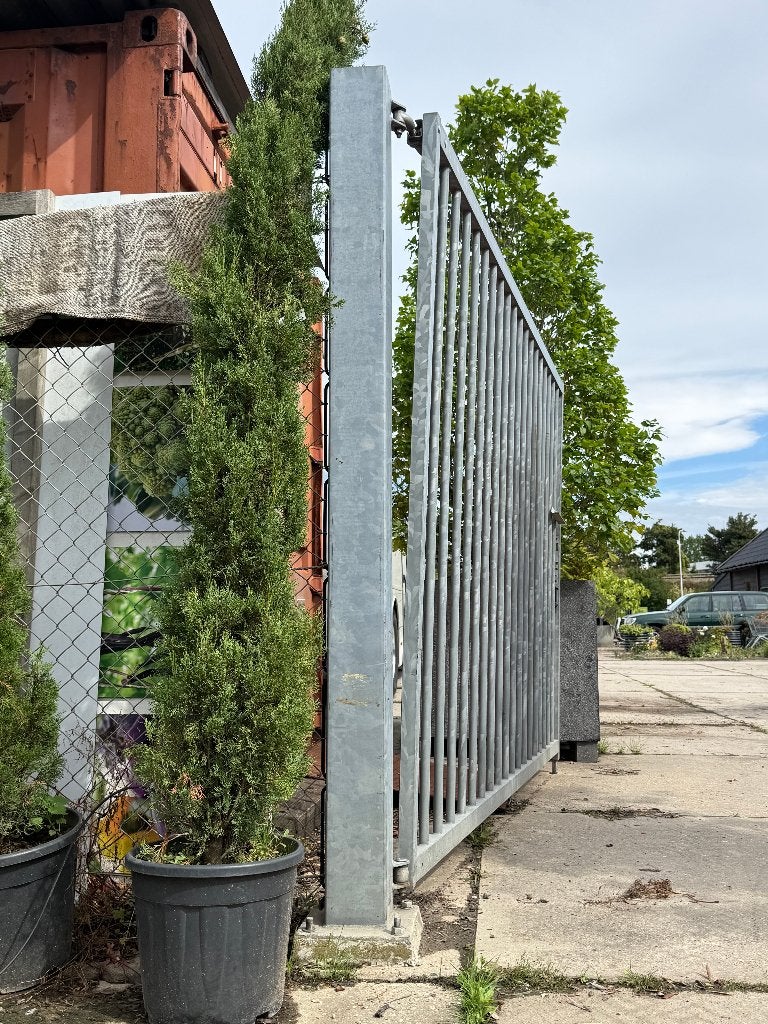 prachtige cipressen/ cupressus !!meerdere beschikbaar!!, Bloeit niet, 100 tot 250 cm, Volle zon, In pot