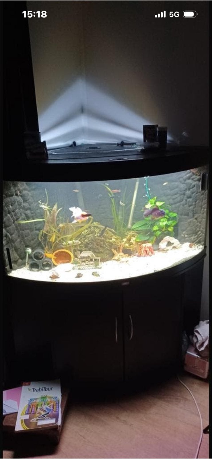 Aquarium, Dieren en Toebehoren, Ophalen, Zo goed als nieuw, Leeg aquarium