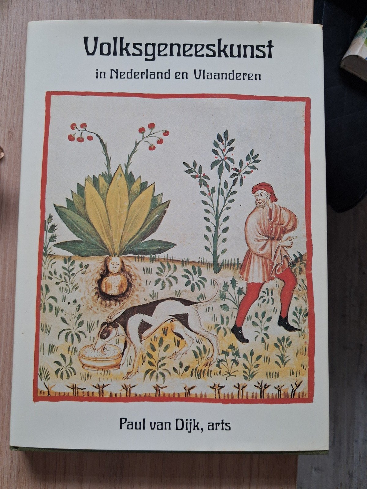 Volksgeneeskunst in Nederland en Vlaanderen - Paul van Dijk, Ophalen of Verzenden, Gelezen