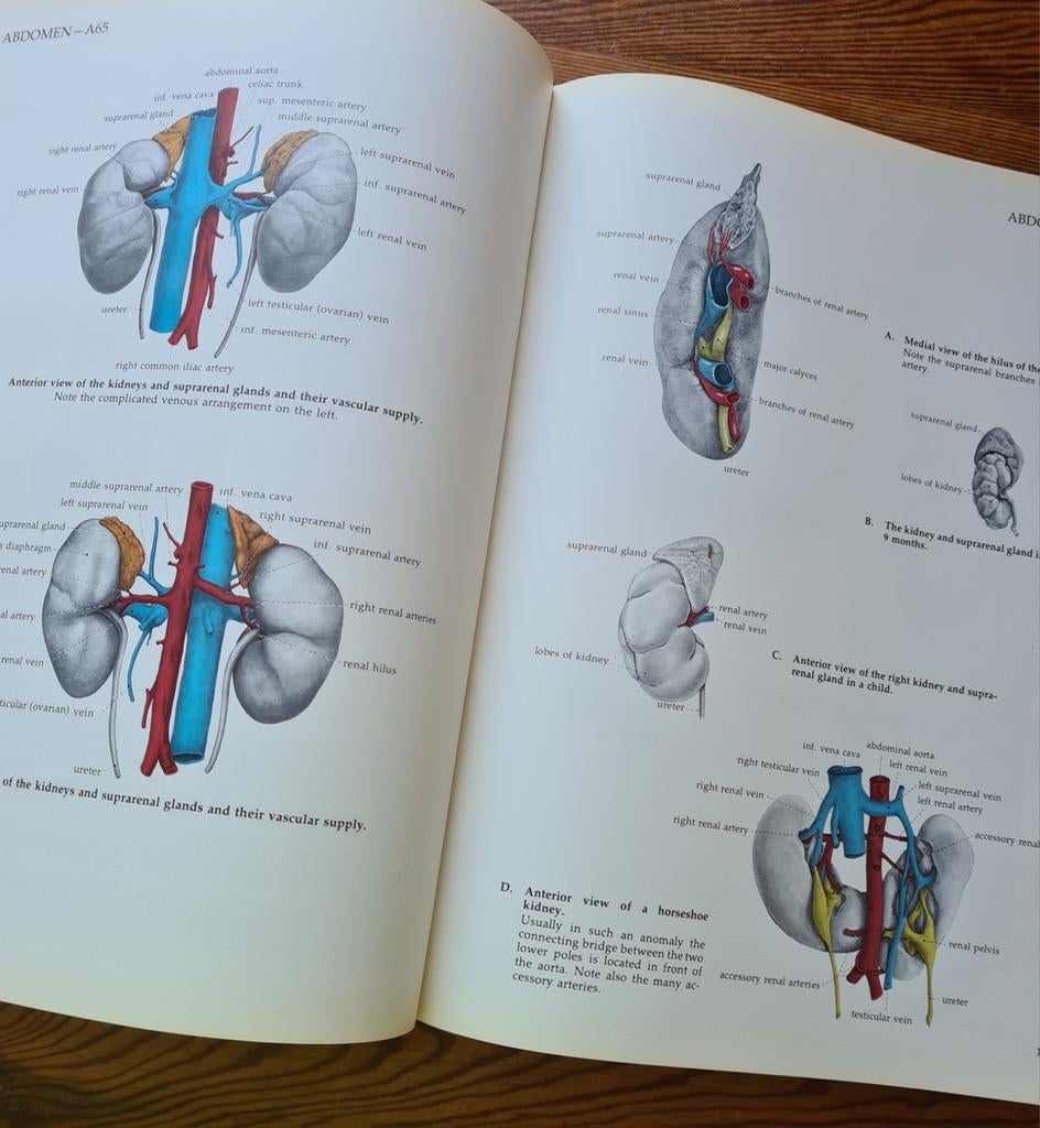 ATLAS of MEDICAL ANATOMY medische anatomie, Ophalen of Verzenden, Gelezen, Natuurwetenschap