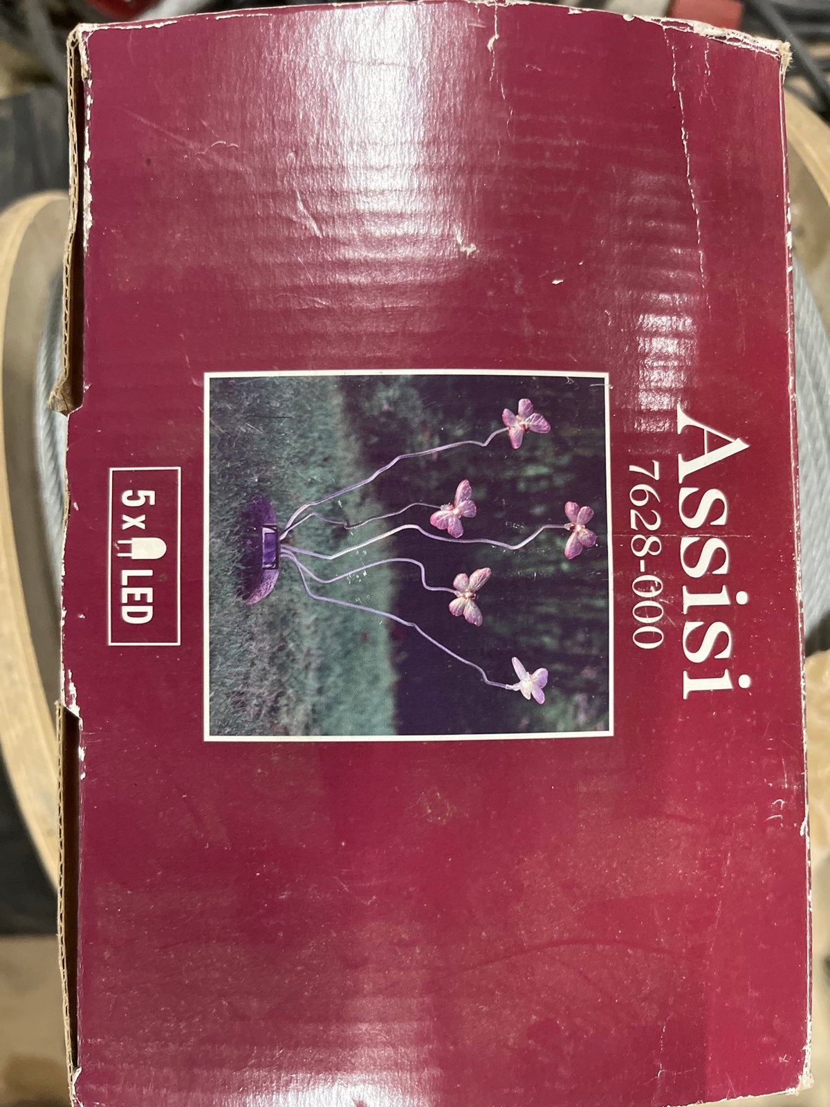 Assisi 5x LED Vlinder Solar Tuinverlichting, Ophalen of Verzenden, Nieuw