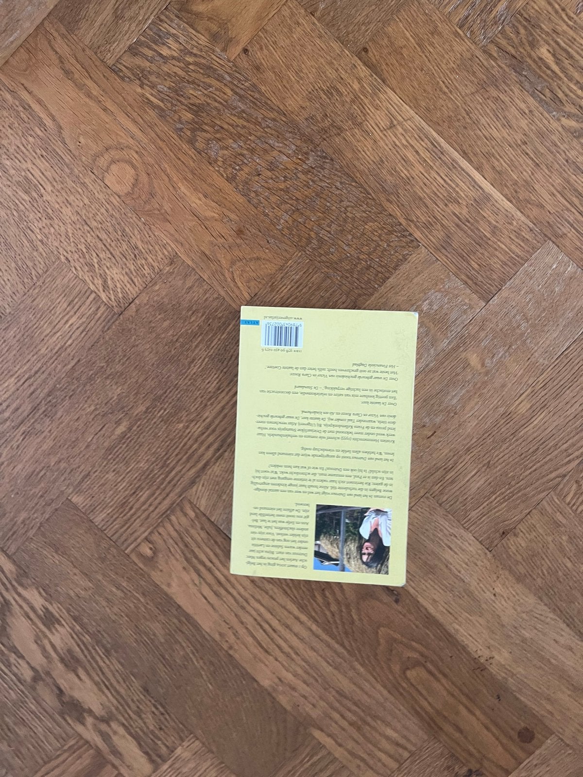 Kristien Hemmerechts - In het land van Dutroux (roman), Boeken, Ophalen, Zo goed als nieuw, België