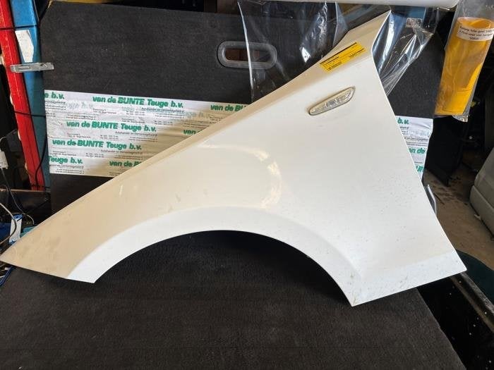 Scherm links-voor van een BMW 1-Serie (300), Gebruikt, -, -, 3 maanden garantie