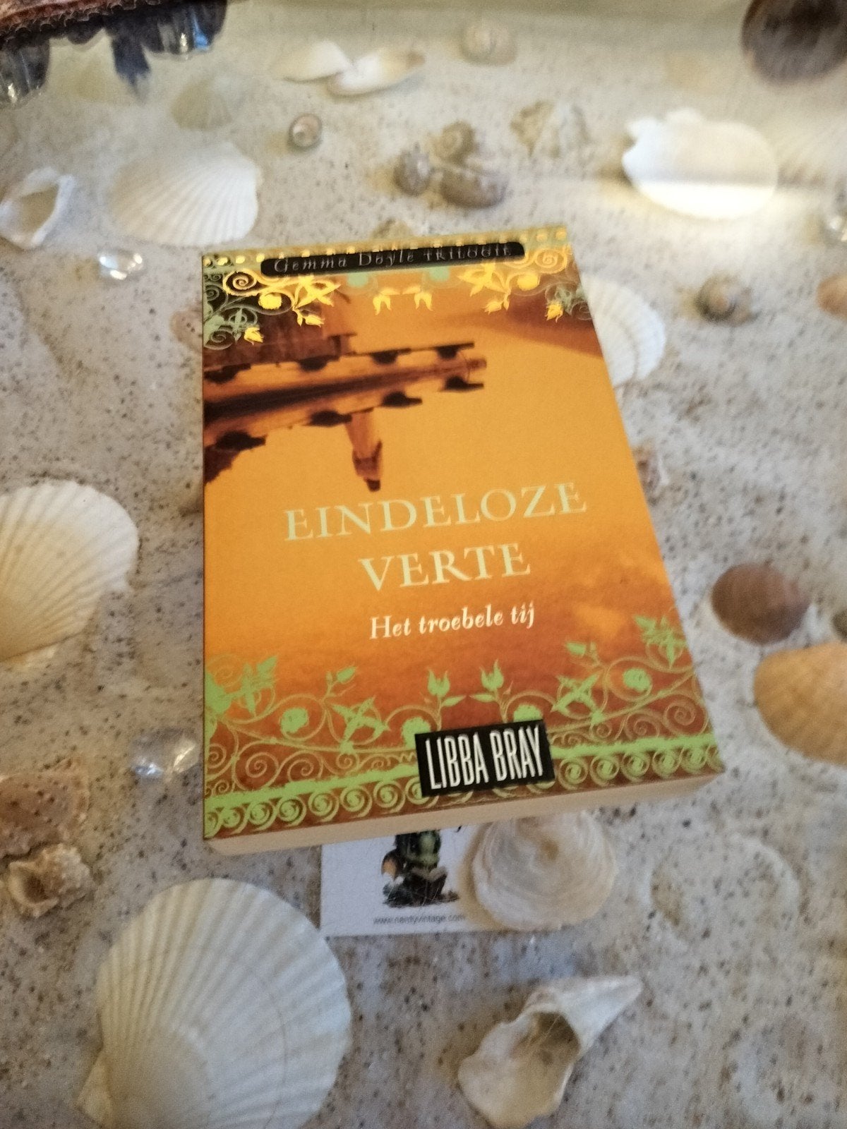 Libba Bray - Eindeloze verte - Gemma Doyle, Gelezen, Ophalen of Verzenden, Libba Bray