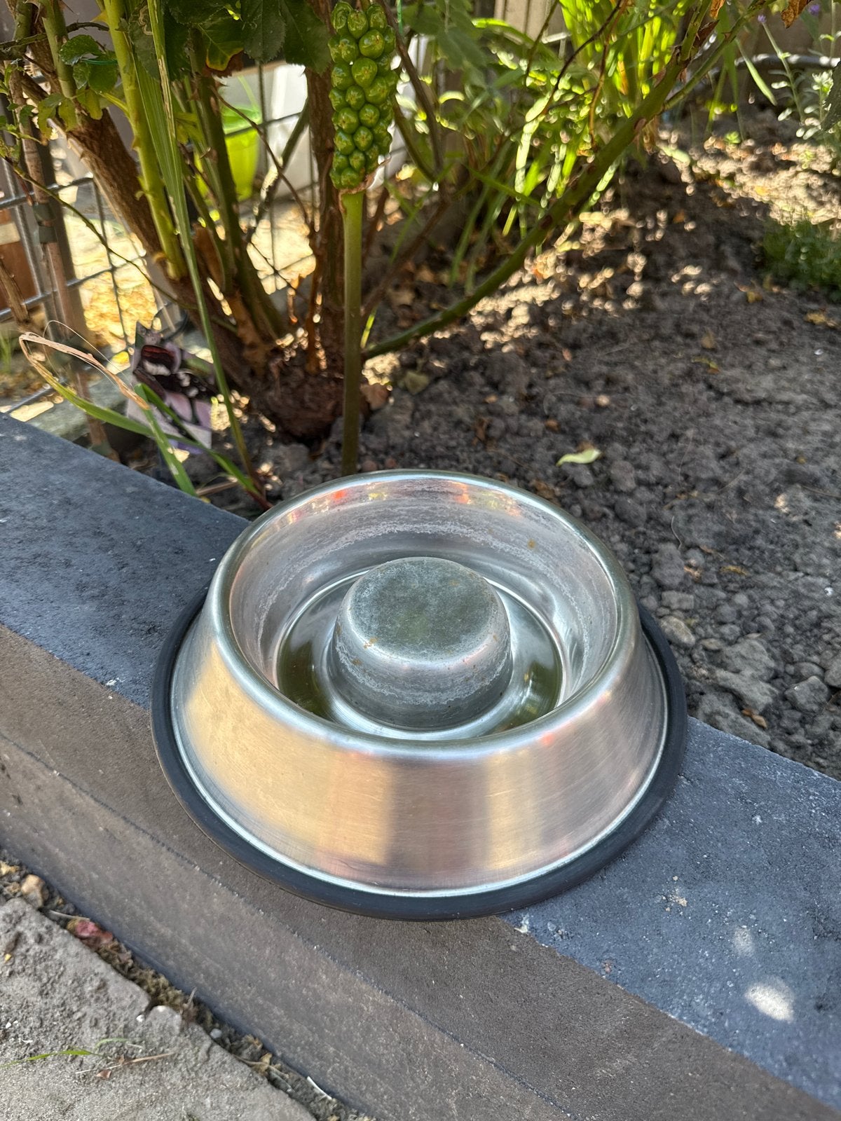 Voeder/drink bak voor hond of kat (met gebruikerssporen), Dieren en Toebehoren, Ophalen, Gebruikt