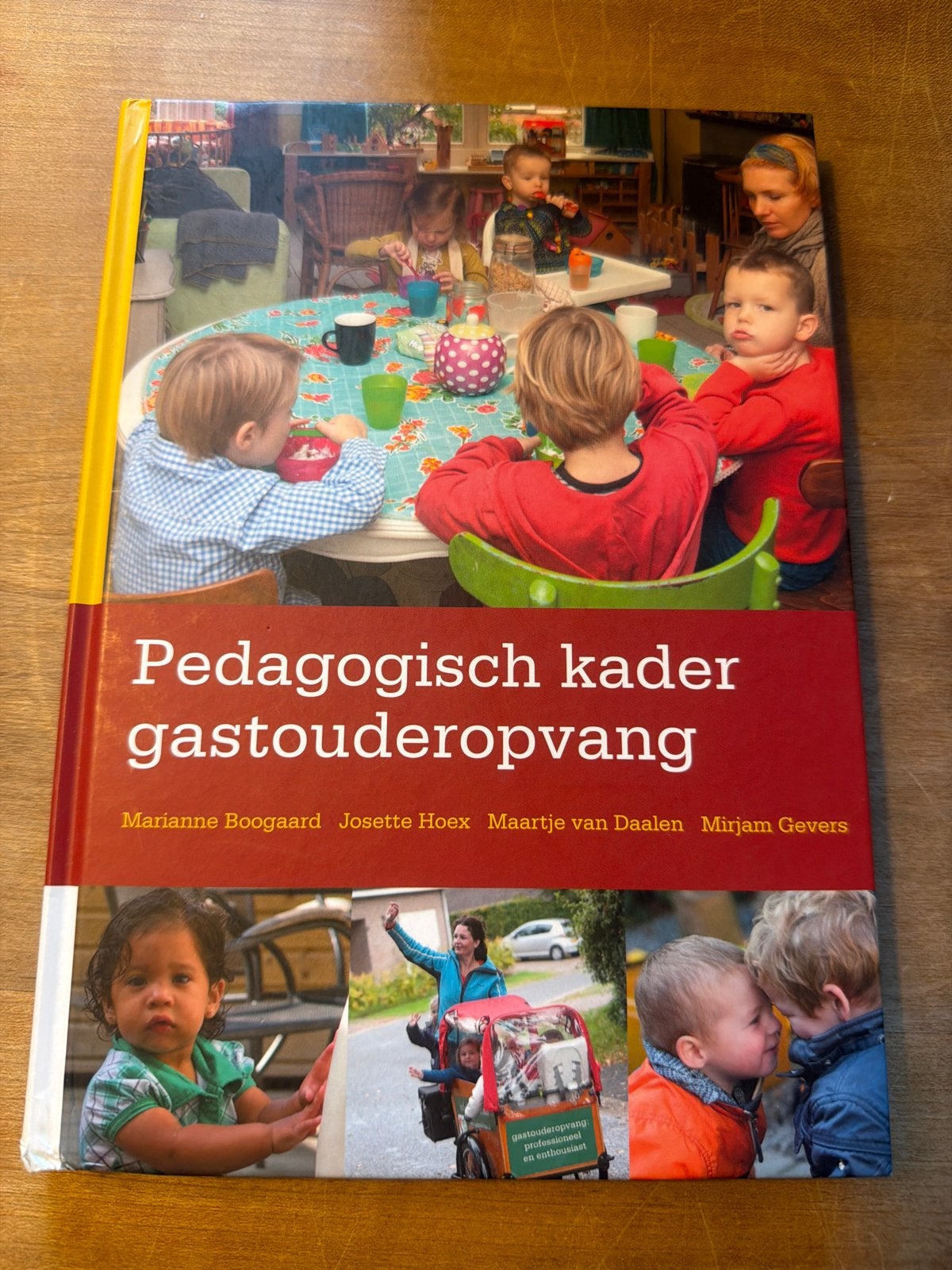 Pedagogisch kader gastouderopvang - Boek, Boeken, Ophalen of Verzenden, Gamma, Zo goed als nieuw, MBO