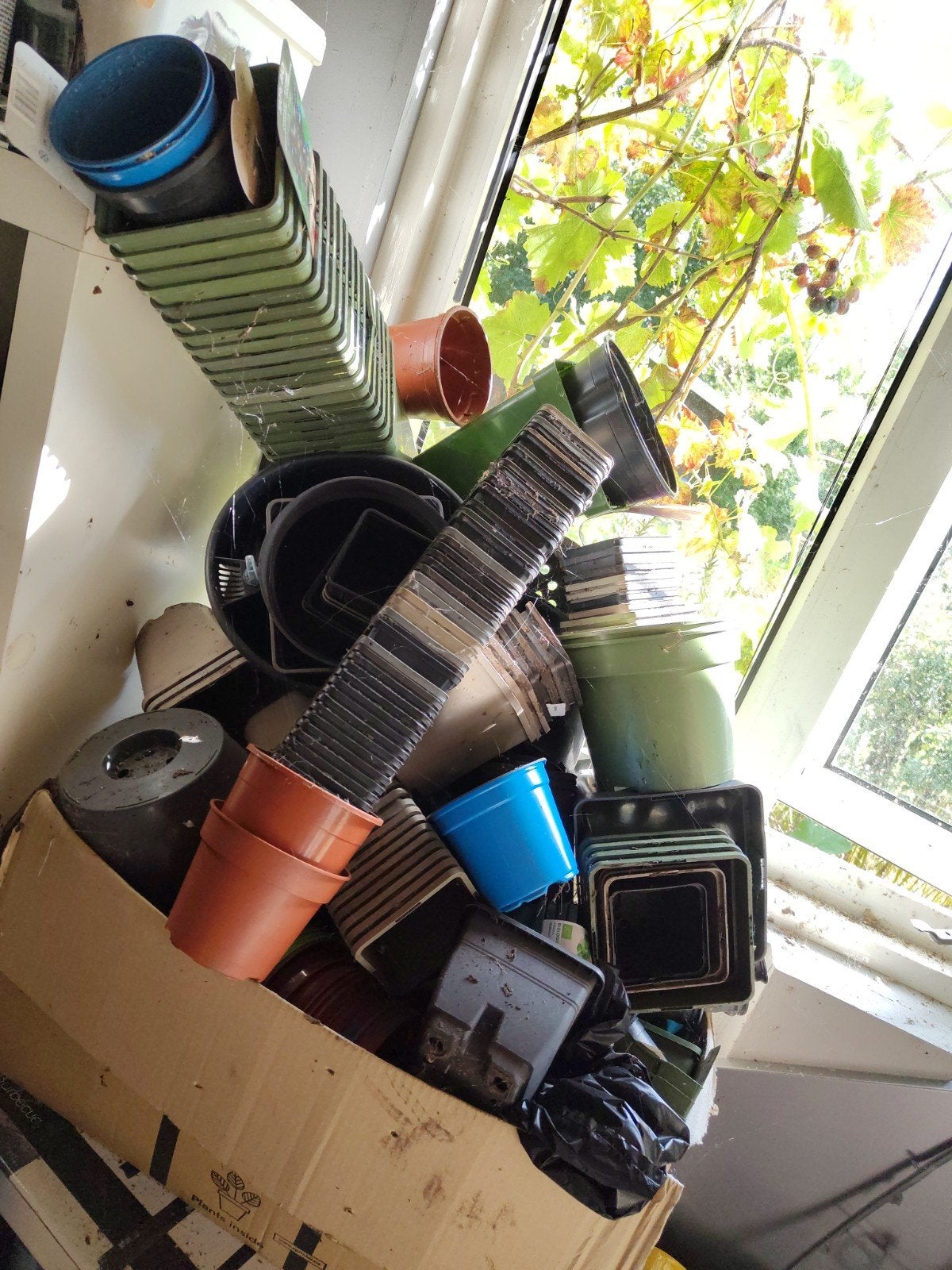 Verschillende planten potjes, Tuin en Terras, Ophalen, Kunststof, Rond, Minder dan 40 cm