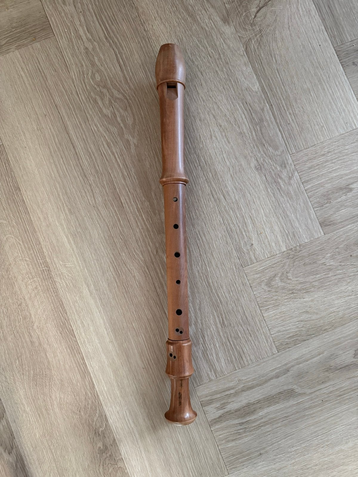 Aura Altblokfluit met etui - in zeer goede staat, Muziek en Instrumenten, Ophalen, Zo goed als nieuw, Alt, Met koffer, hoes of etui