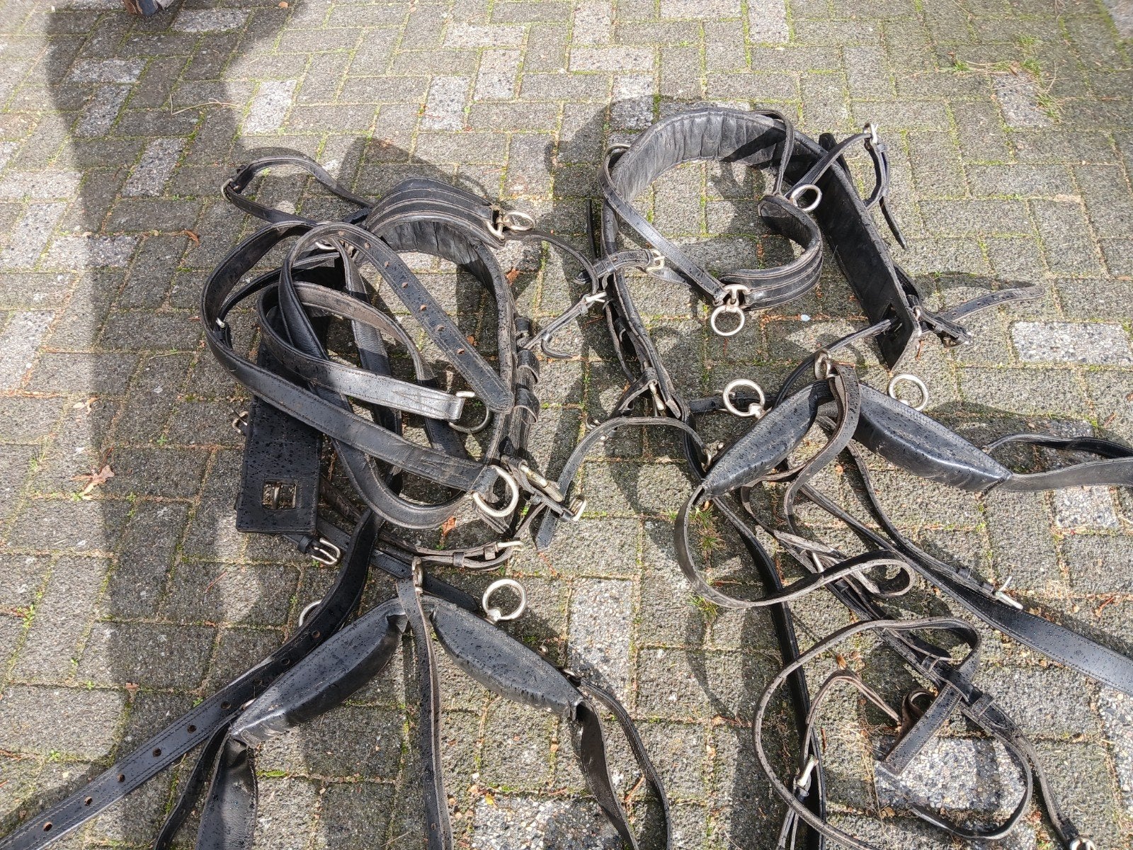 marathontuig tweespan, Dieren en Toebehoren, Ophalen, Gebruikt, Veelzijdigheid