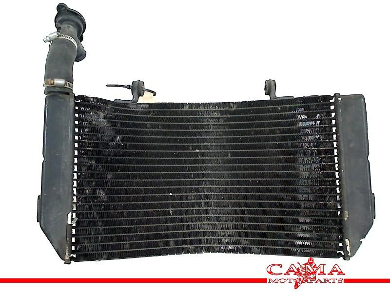 Radiateur Honda CBR 600 F 1995-1998 (CBR600F CBR600F3 PC31), Honda, Gebruikt, Hanauer Landstraße  222-224, Frankfurt am Main 60314, , Duitsland