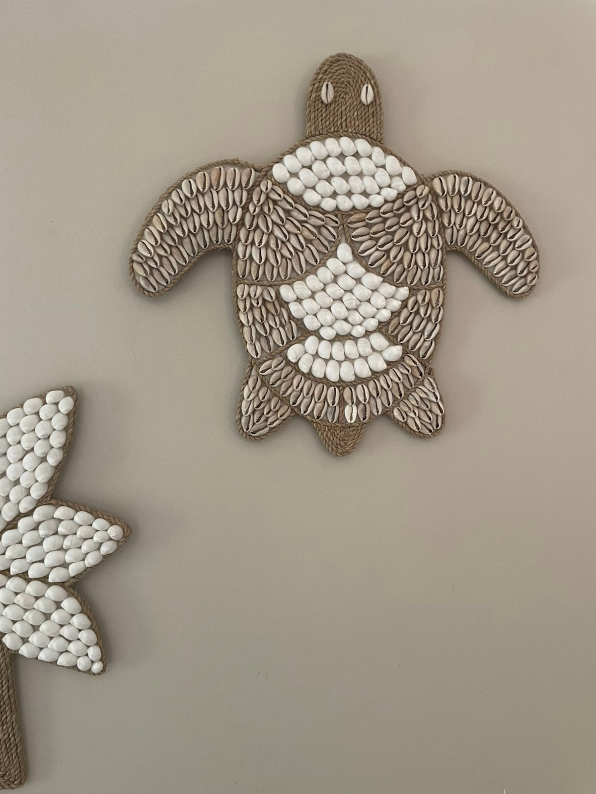 Nieuw schelpen schildpad, Ophalen of Verzenden, Nieuw