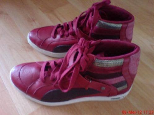 Puma sneakers/sportschoenen - nieuw - maat 37, Kleding | Dames, Overige kleuren, Nieuw, Ophalen of Verzenden, Sneakers of Gympen