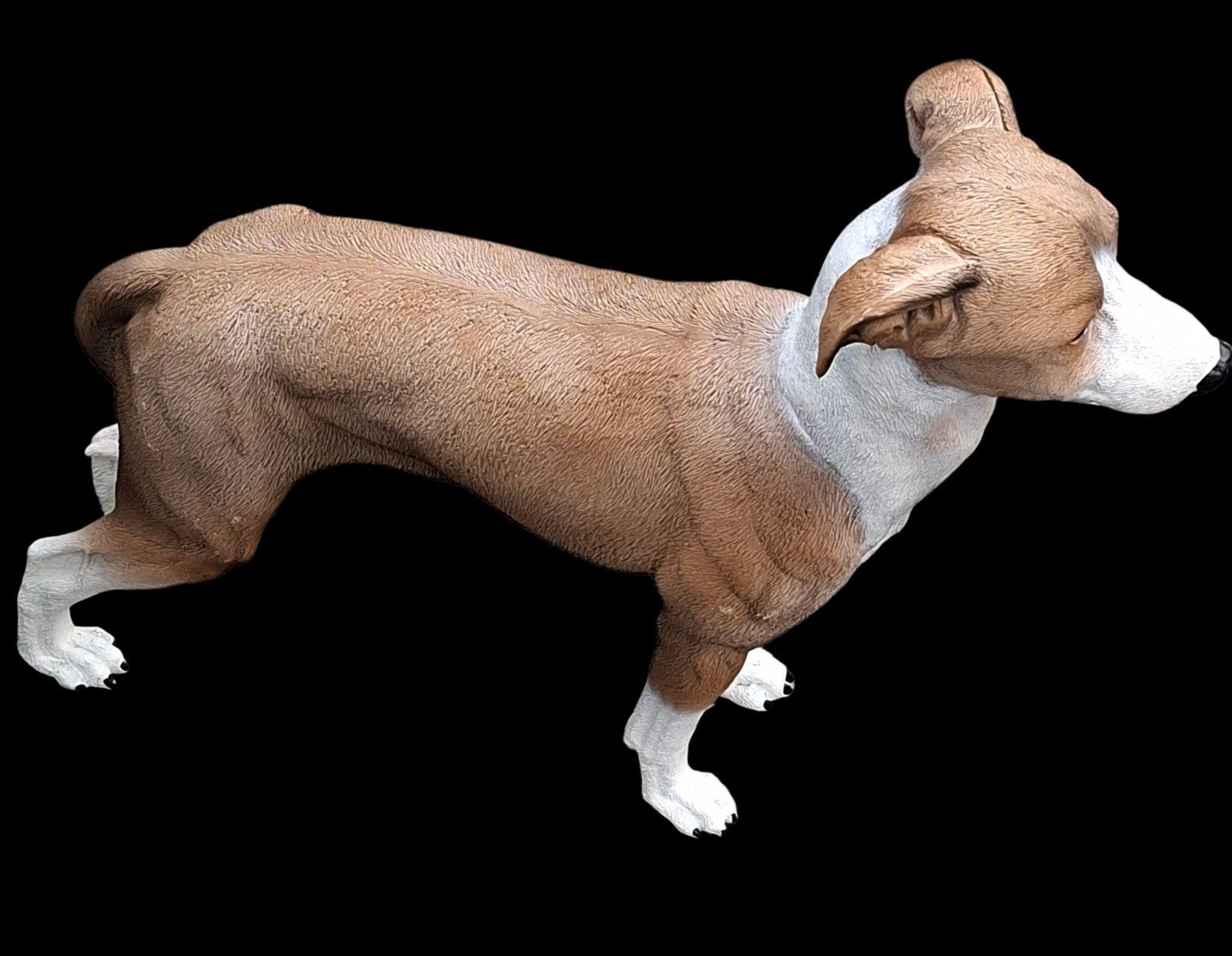 beeld whippet windhond greyhound nieuw, Ophalen, Nieuw, Dier