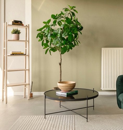 IKEA FEJKA Kunstplant Ficus Lyrata met FRIDFULL Mand, Huis en Inrichting, Woonaccessoires | Kunstplanten en Kunstbloemen, Ophalen