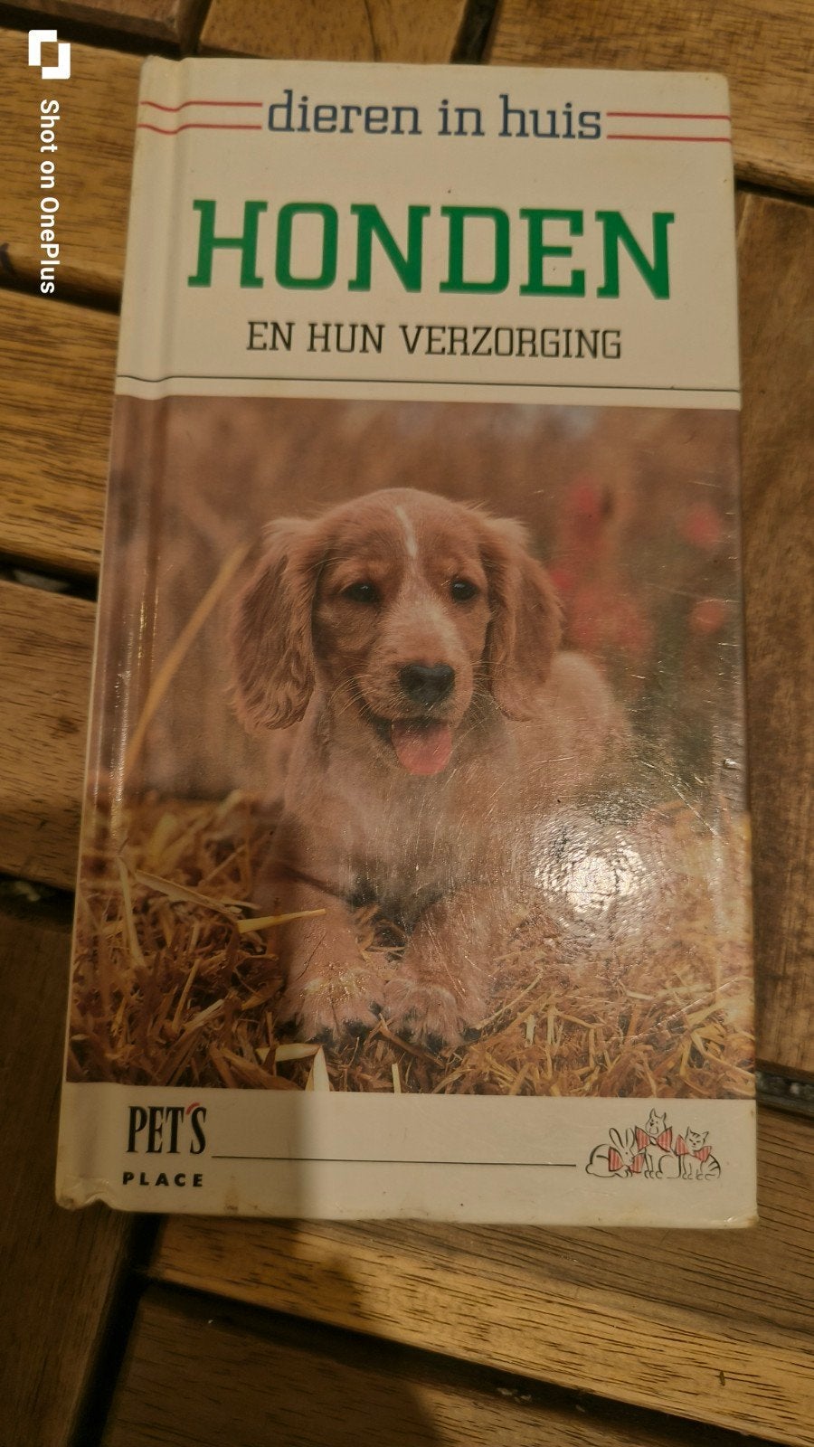 honden en hun verzorging, Ophalen of Verzenden, Gelezen, Honden