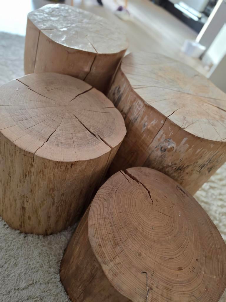 Boomstam tafel 5 delen, Ophalen, Minder dan 50 cm, Rond, Minder dan 50 cm