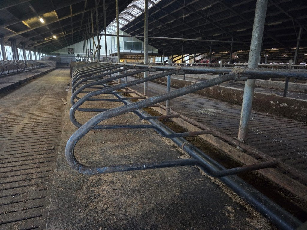 Jourdain ligboxen, stalmatten en voerhekken, Zakelijke goederen, Ophalen, Veehouderij, Stalinrichting