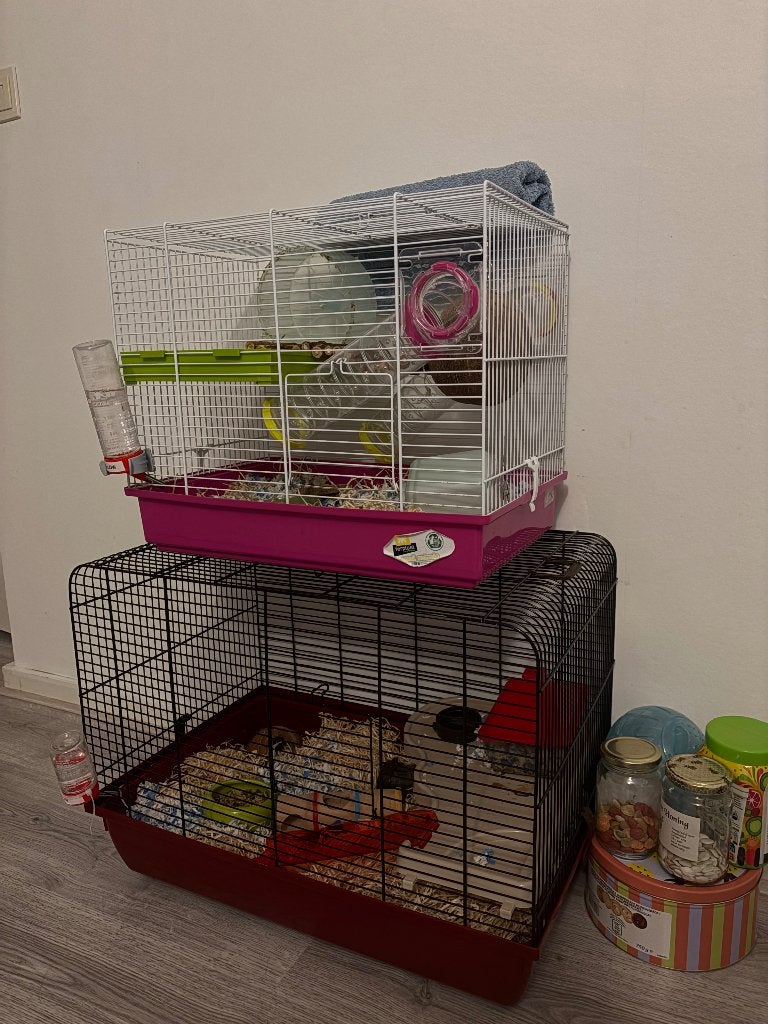 Hamsters, Kooi, Minder dan 75 cm, Zo goed als nieuw, Ophalen