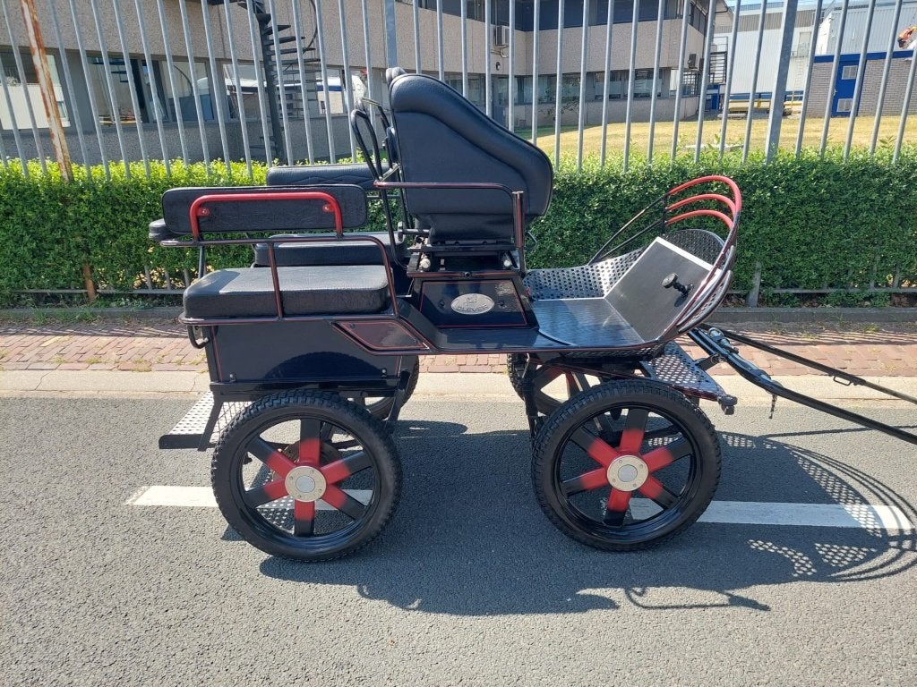 Clever enkelspan menwagen, Gebruikt, Marathonwagen, Pony