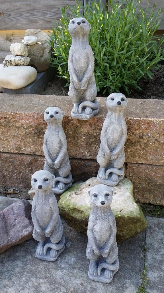 Vrolijke Stokstaartjes ,in de Tuin/Vijver, Ophalen of Verzenden, Nieuw, Steen, Dierenbeeld