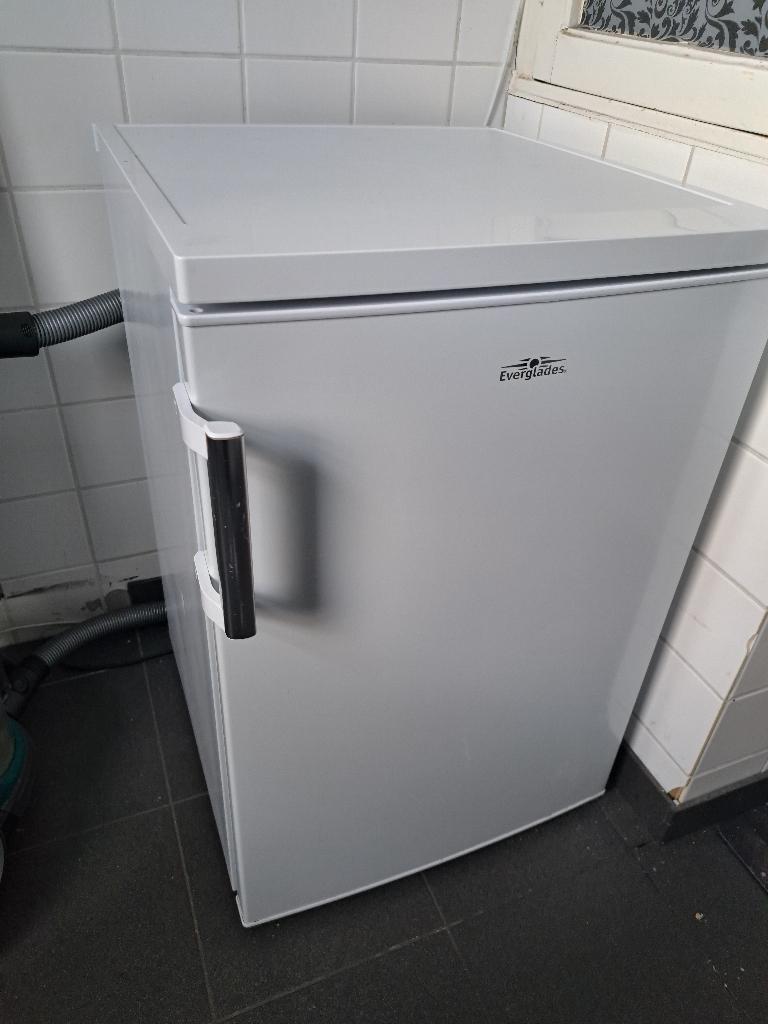 Koelkast Everglades EVTT1019, Ophalen, Minder dan 85 cm, 100 tot 150 liter, Zo goed als nieuw