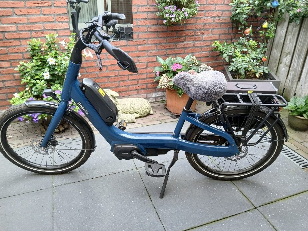 Foto 8 van Gazelle Easyflow