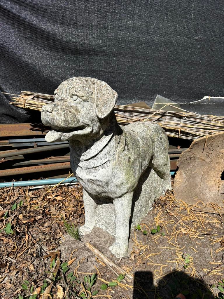 Tuinbeeld Rottweiler, Ophalen, Gebruikt, Beton, Dierenbeeld