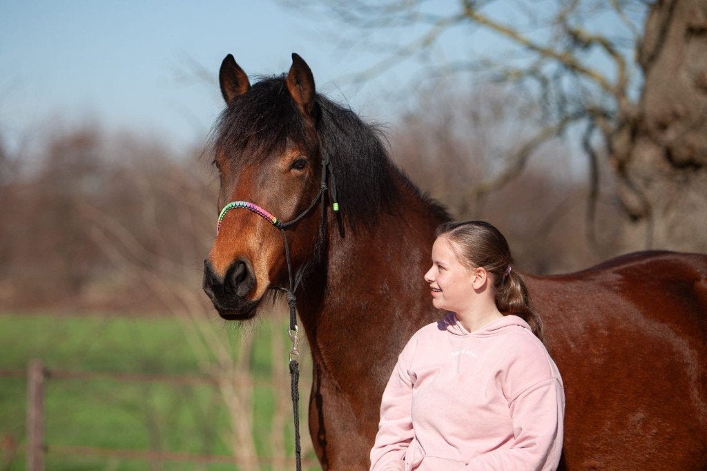 Verzorgster/stalhulp aangeboden, Ophalen, Nieuw, Overige disciplines