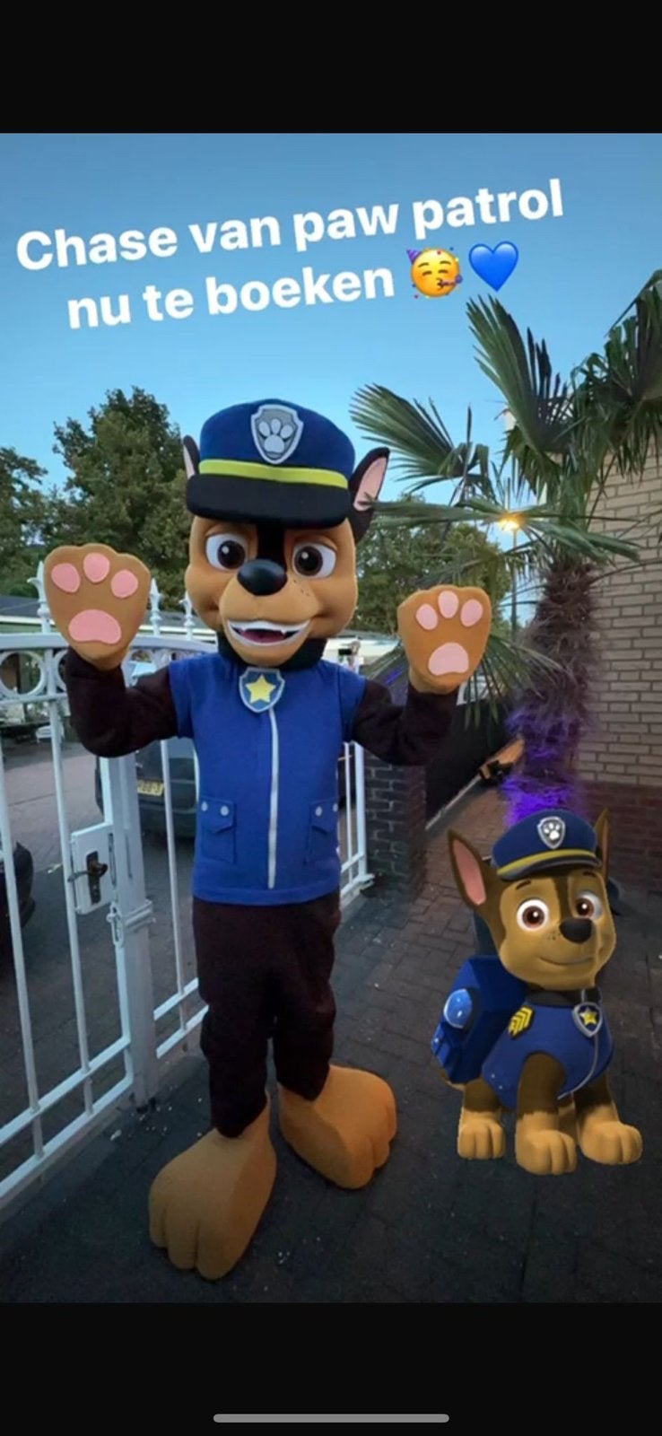 CHASE MASCOTTE VERHUUR, Ophalen of Verzenden, Zo goed als nieuw, Verjaardag