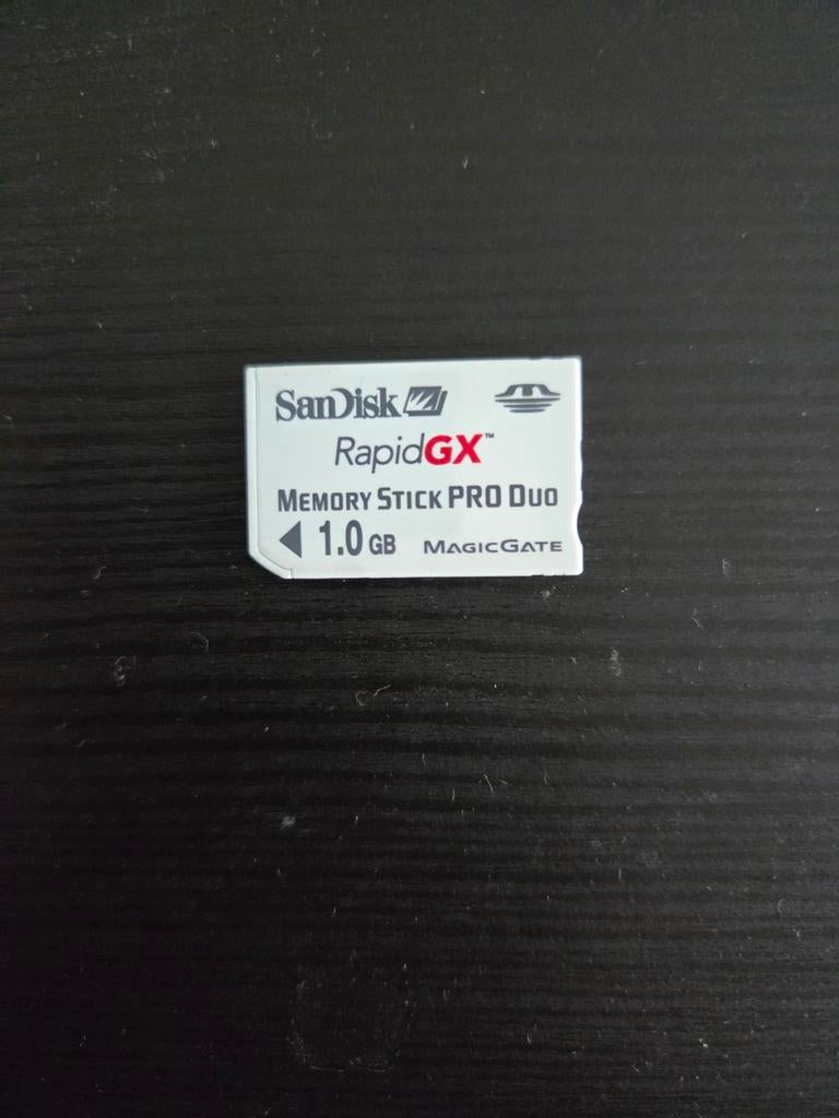 SanDisk RapidGX Memory Stick PRO Duo 1.0 GB, Audio, Tv en Foto, Fotografie | Geheugenkaarten, Ophalen, Gebruikt, Memory stick