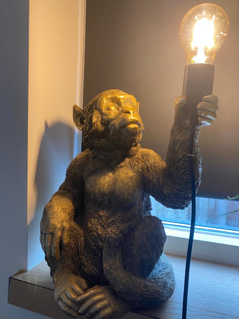 Lamp aap, Ophalen