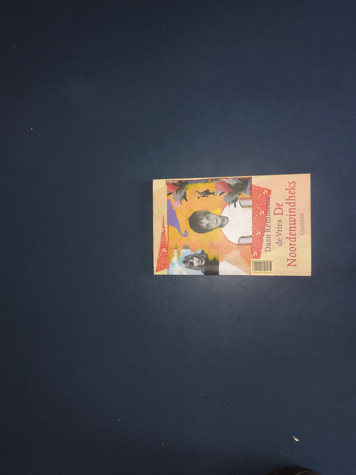 De Noordenwindheks - Daan Remmerts de Vries, Ophalen of Verzenden, Gelezen, Daan Remmerts de Vries, Fictie