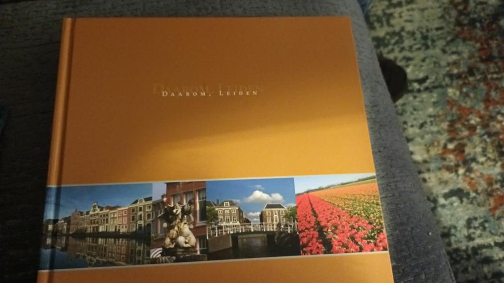 Boek over leiden, Boeken, Geschiedenis | Stad en Regio, Ophalen of Verzenden