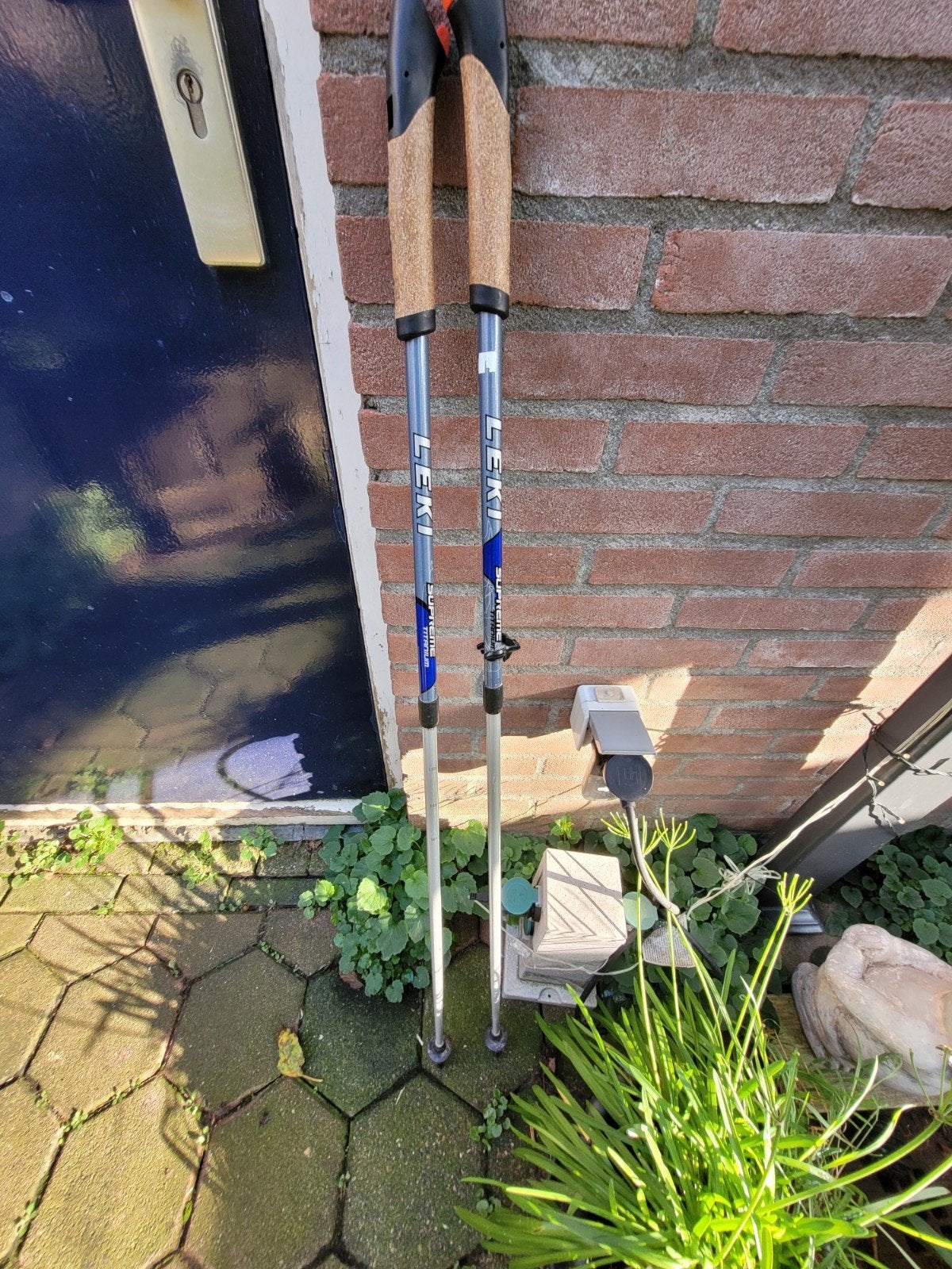 Leki supreme titanium nordic walking stokken, Ophalen of Verzenden, Gebruikt, Wandelstok