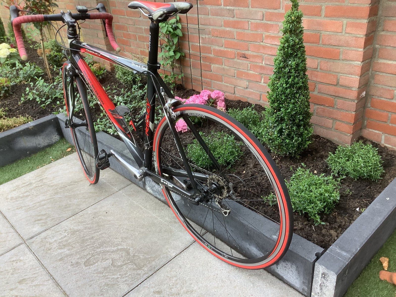 RIDLEY racefiets., Carbon, Zo goed als nieuw, Meer dan 20 versnellingen, Ophalen