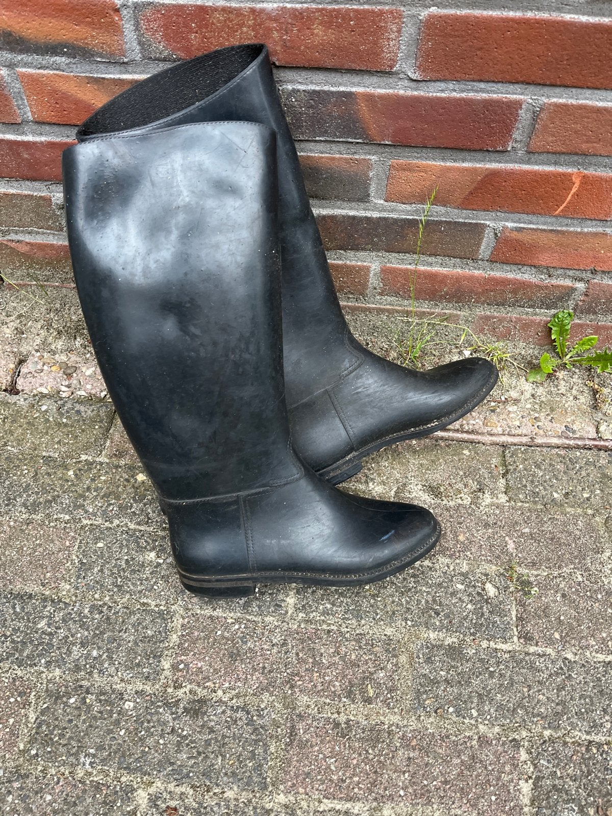 Paardrij laarzen, Dieren en Toebehoren, Ophalen, Gebruikt, Overige soorten, Schoeisel