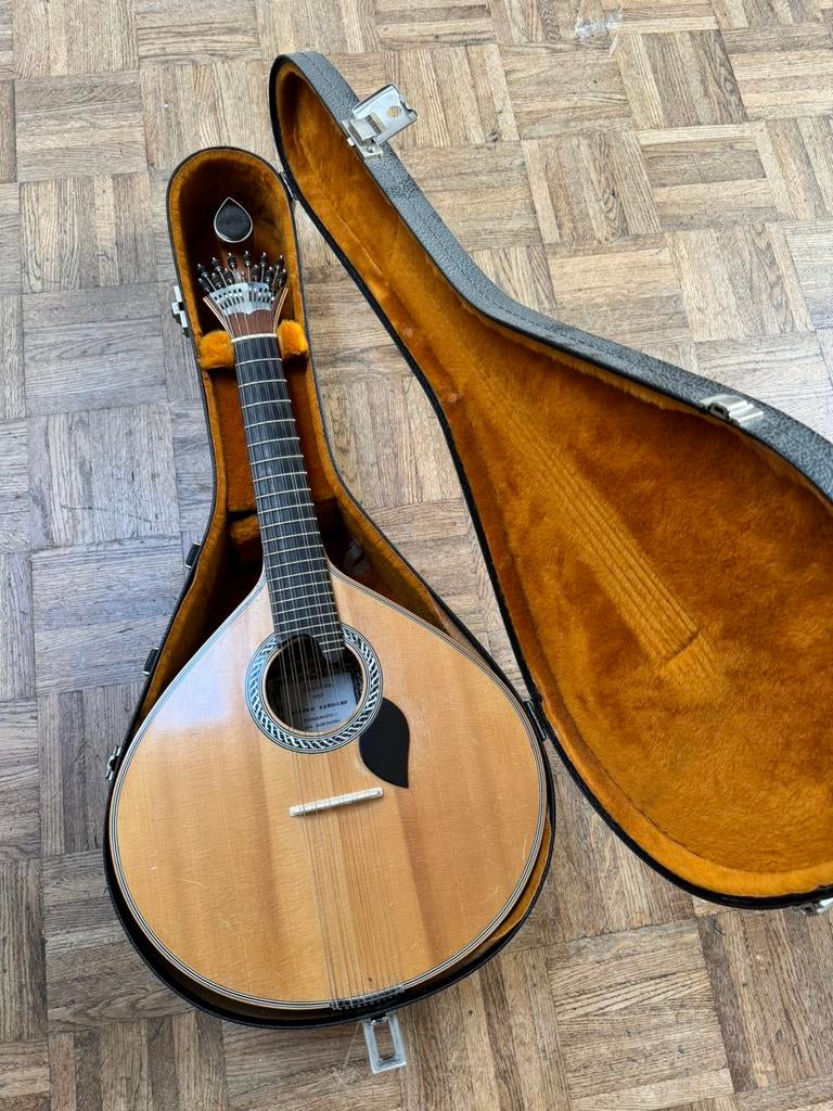 Portugese gitaar met koffer, Ophalen, Gebruikt, Overige typen, Met koffer