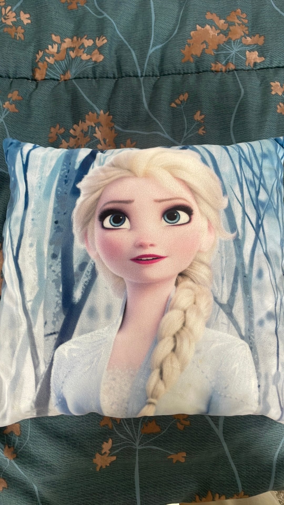 Frozen sierkussen, Meisje, Ophalen of Verzenden, Zo goed als nieuw, Roze
