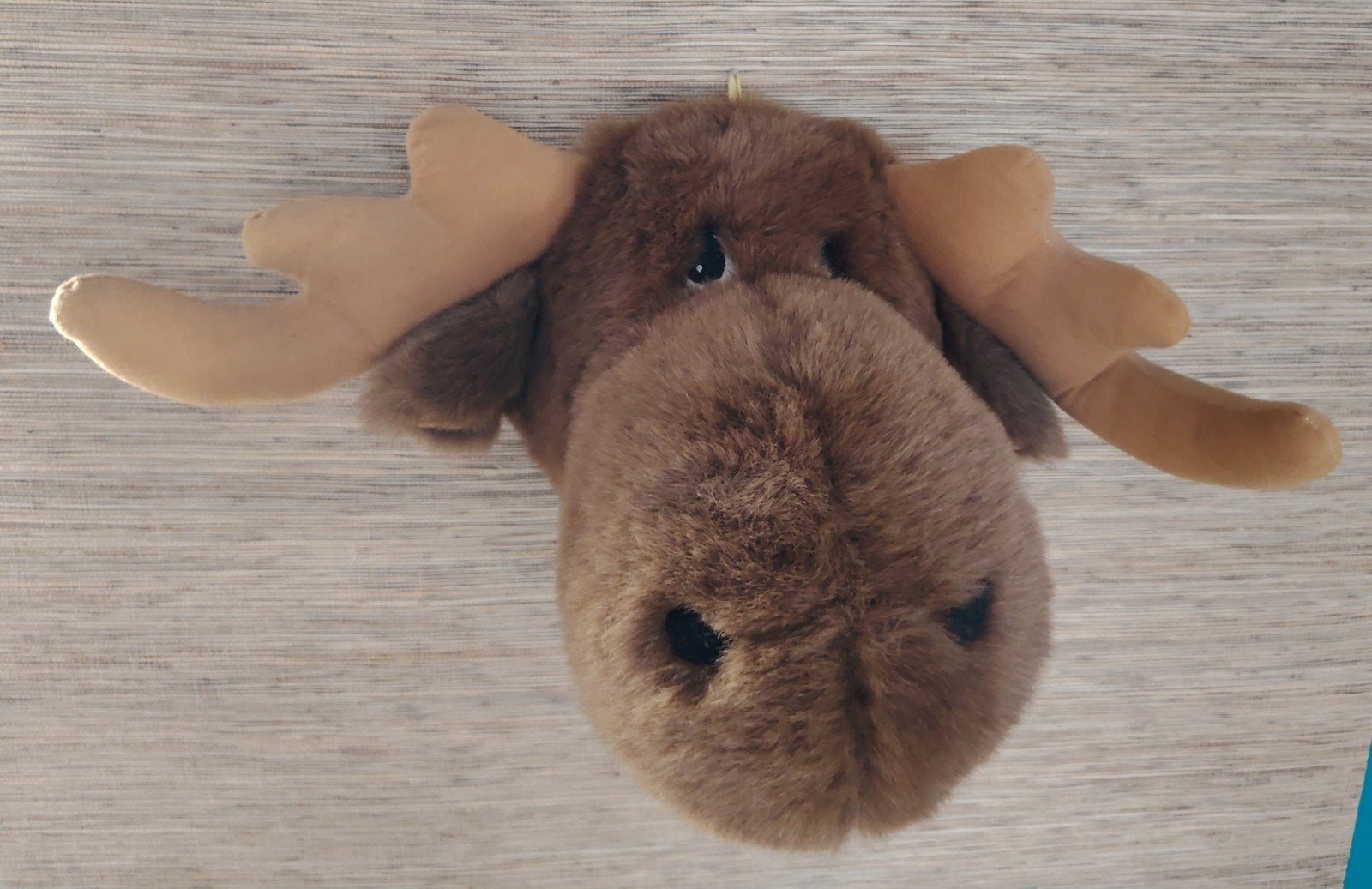Leuke eland knuffel - wanddecoratie dierenkop, Kinderen en Baby's, Speelgoed | Knuffels en Pluche, Overige merken, Overige karakters