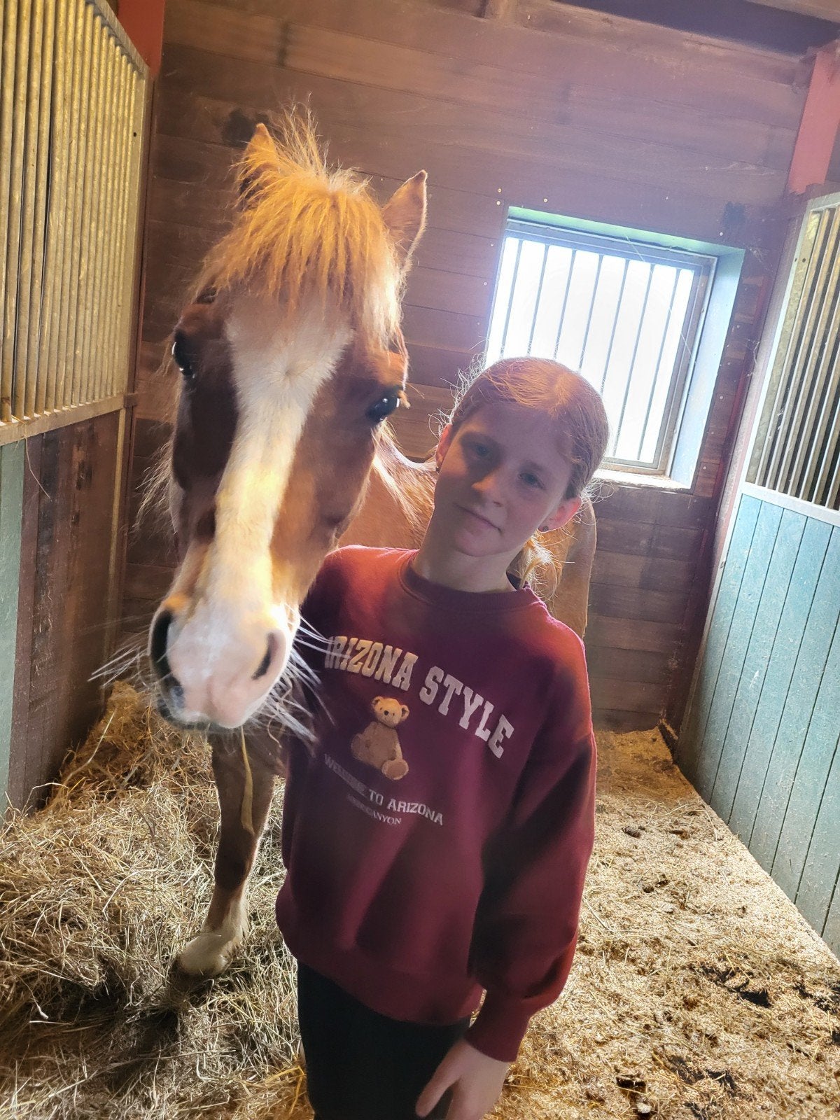 heyy ik zoek een verzorg pony, Dieren en Toebehoren, Ophalen