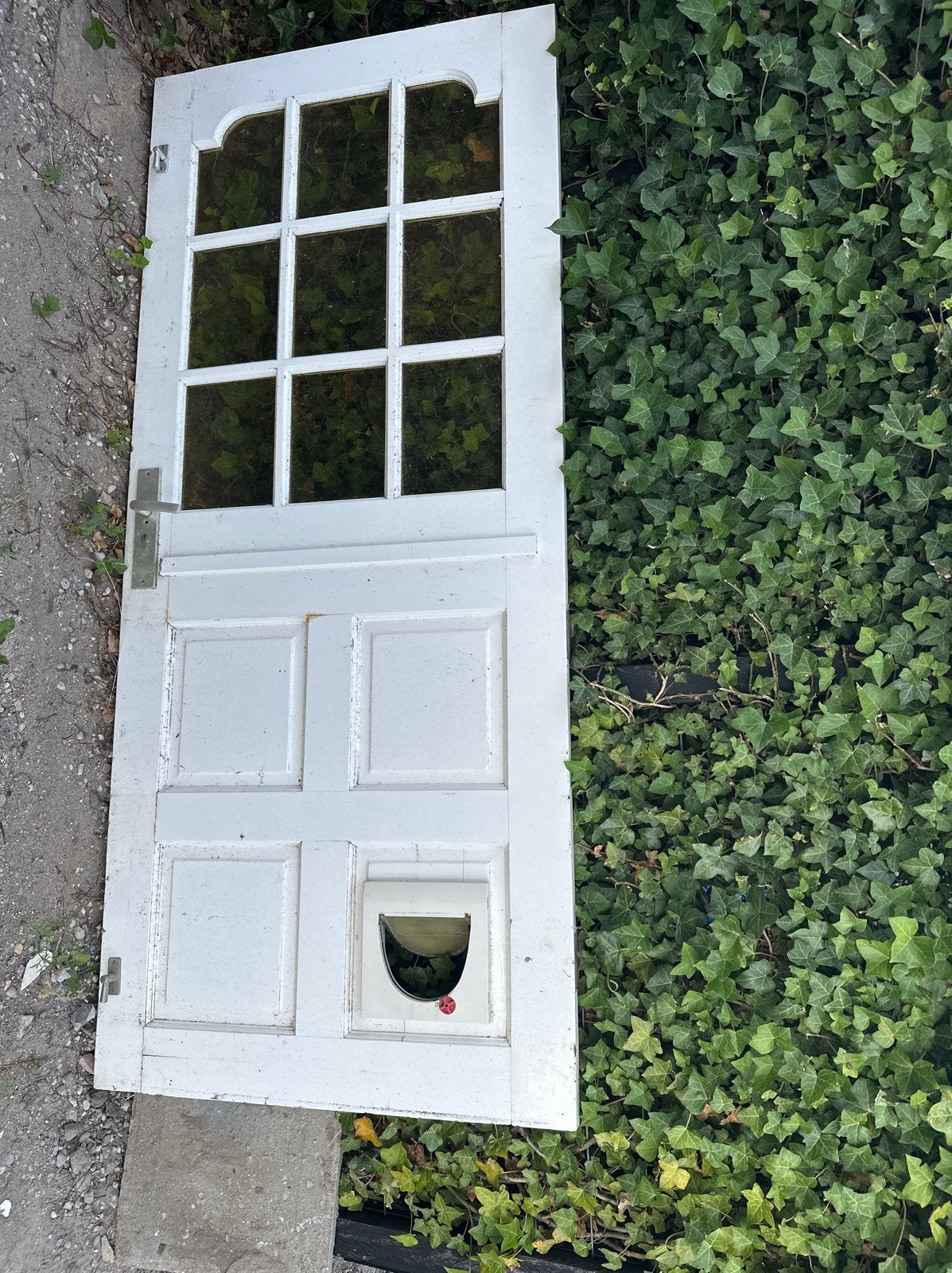 Hardhouten buitendeur met glas en kattenluik, Ophalen, Gebruikt, 80 tot 100 cm, Buitendeur