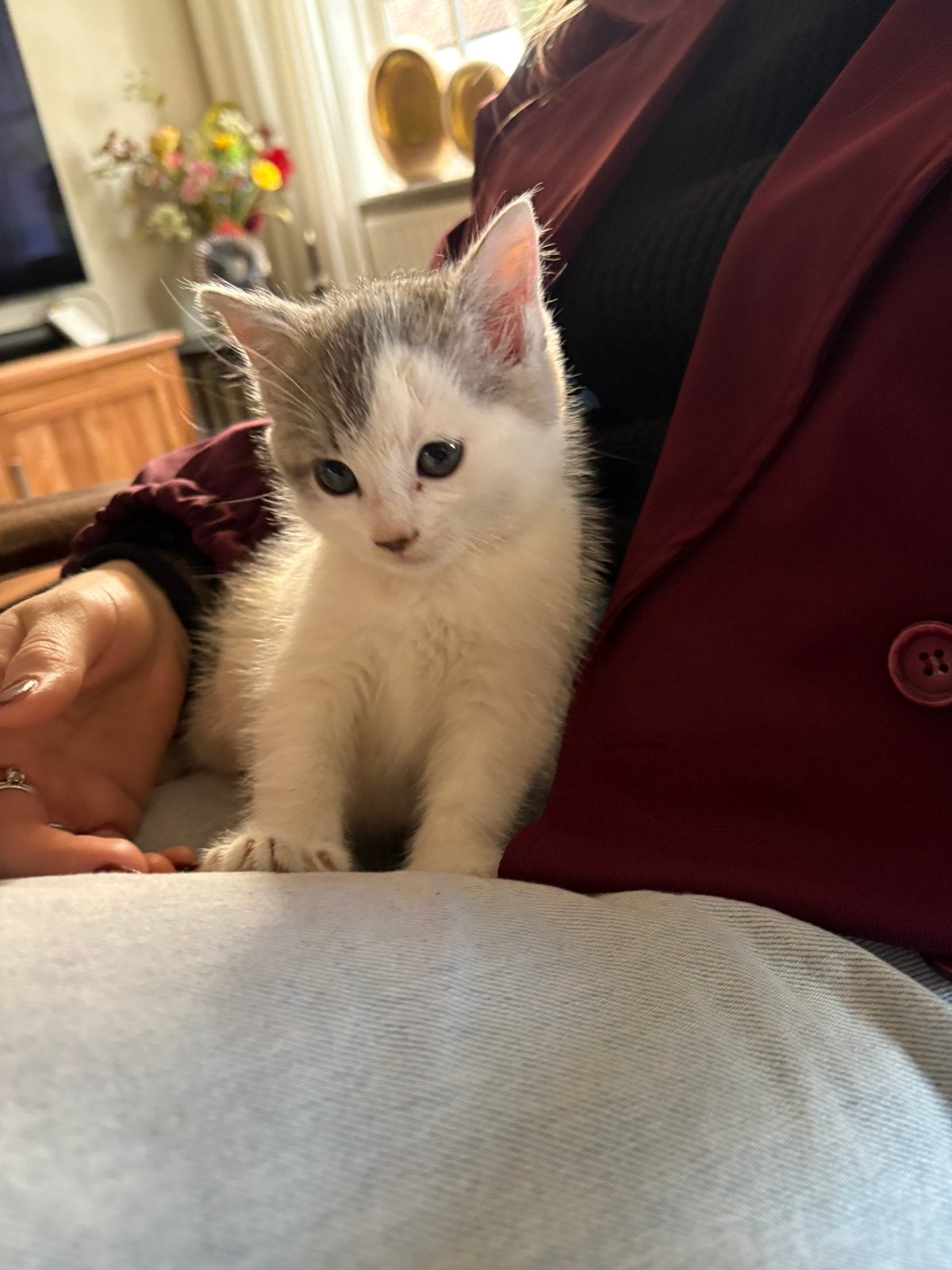 Nog 1 boerderij kitten beschikbaar, Dieren en Toebehoren, Kater, Ontwormd, 0 tot 2 jaar